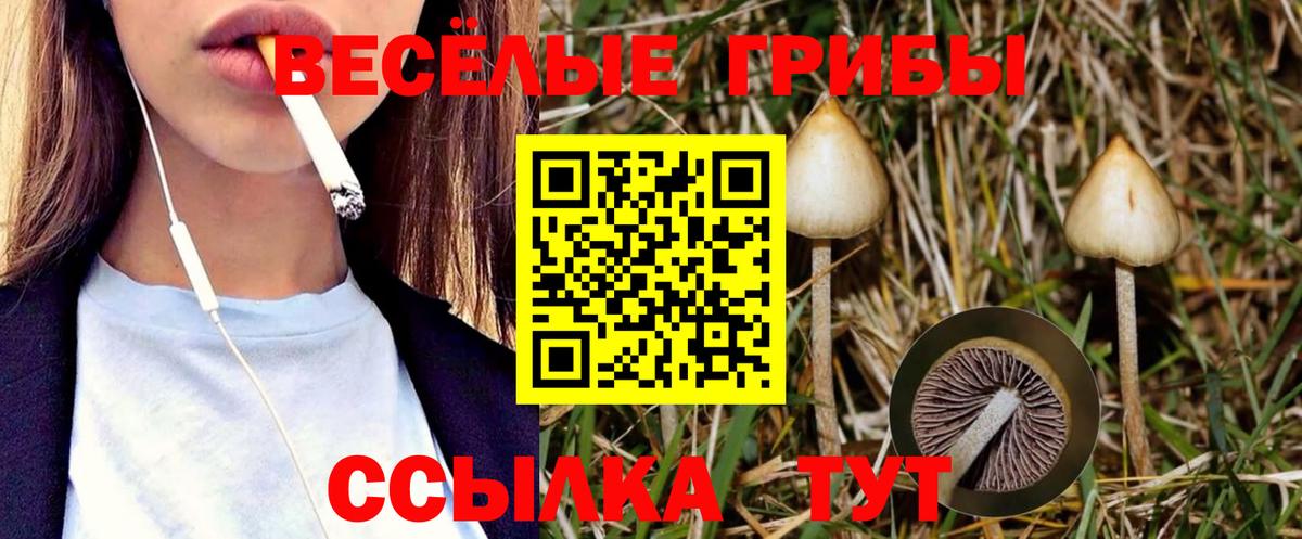 Галлюциногенные грибы прущие грибы Щёкино