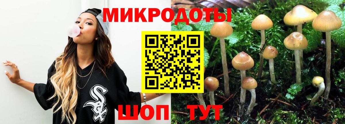 Псилоцибиновые грибы мухоморы  Вход с VPN  Галлюциногенные грибы мицелий  Щёкино 